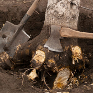 gruenspecht-gartengestaltung_leistungen_img-10 gruenspecht-gartengestaltung_leistungen_img-10