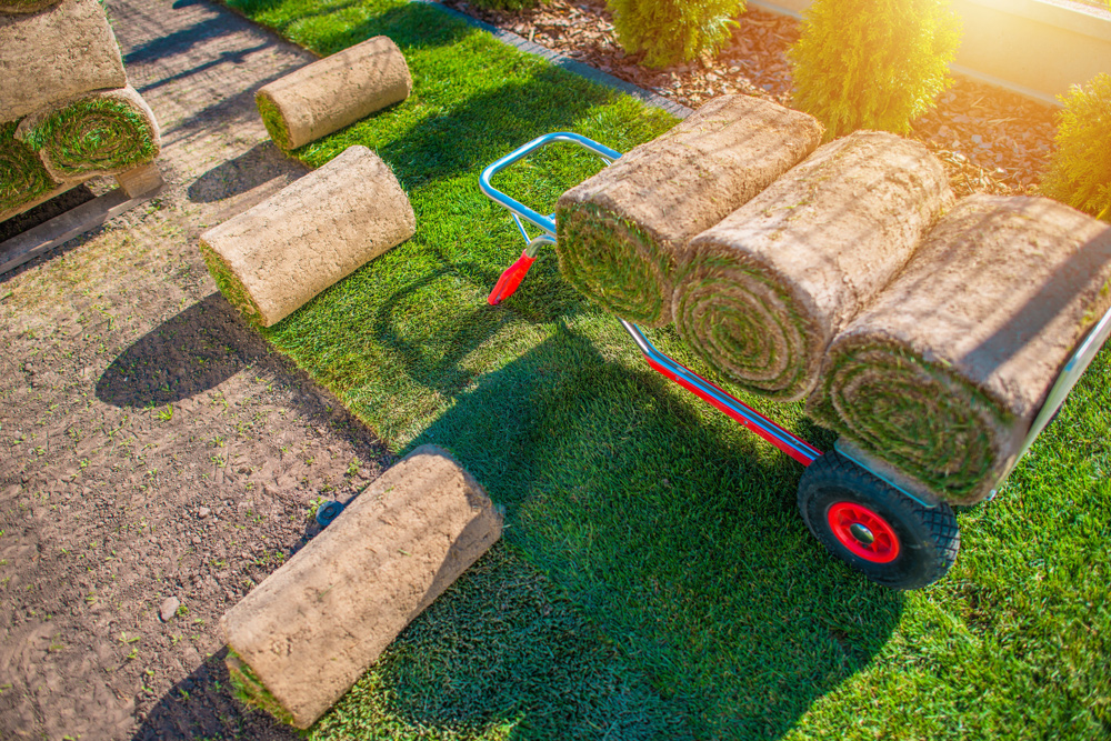 gruenspecht-gartengestaltung_leistungen_img-4