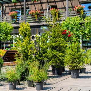 gruenspecht-gartengestaltung_leistungen_img-6 gruenspecht-gartengestaltung_leistungen_img-6