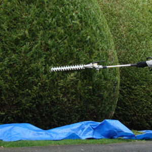 gruenspecht-gartengestaltung_leistungen_img-9 gruenspecht-gartengestaltung_leistungen_img-9